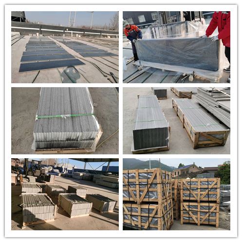 product-497-497 1